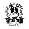 Border collie - badge, sticker, label, emblem. Element of design.