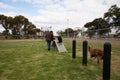 Border Collie being coaxed up ramp at agility dog park