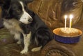 Birthday Cake Royalty Free Stock Photo