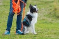 Man with border collie dog