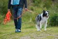 Man with border collie dog