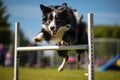 Border collie on dog agility slalom. Sports competitions of dogs on agility field. Collie dog jumping over obstacle. Generative AI Royalty Free Stock Photo