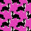 Border Collie dog seamless pattern