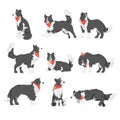 Border Collie Dog Set, Shepherd Pet Animal with Black White Coat in Red Neckerchief Cartoon Vector Illustration Royalty Free Stock Photo