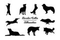 Border Collie dog silhouettes Royalty Free Stock Photo