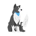 Border Collie Dog, Smart Shepherd Pet Animal with Black White Coat Cartoon Vector Illustration Royalty Free Stock Photo