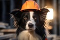 A border collie dog wearing a helmet on a construction site Royalty Free Stock Photo