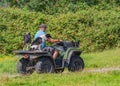 Border Collie dogs riding on a quad bike.