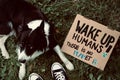 A Border Collie laying next to cardboard with the inscription "wake up humans there is no planet B"