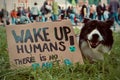 A Border Collie laying next to cardboard with the inscription & x22;wake up humans there is no planet B& x22;