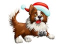 Border Collie and New Years cap Royalty Free Stock Photo