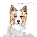 Border Collie. Portrait of a Dog. Cute puppy isolated on white background. Australian Shepherd. Hand drawn illustration.