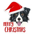 Illustration Border Collie Merry Christmas