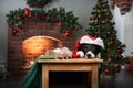 Border Collie in Santa hat with kittens by a festive tree