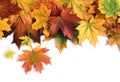 Border of colorful autumn maple leaves
