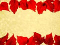 Border composition of red colored autumn maple leaves falling on yellow bokeh background Royalty Free Stock Photo