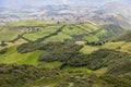 Border between crops and native forest Royalty Free Stock Photo