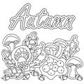 Border in doodle style. Autumn Black and white background. Coloring book pages Forest mushrooms, Acorns and oak leaves. Hand drawn Royalty Free Stock Photo