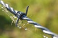 Border of estate with barbed wire. Set boundaries. Or locking up livestock. Symbol of freedom and captivity. Royalty Free Stock Photo