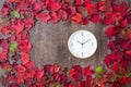 Border of fall color in red, green, yellow, and orange maple leaves on a rustic wood background, with round white analog clock