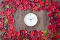 Border of fall color in red, green, yellow, and orange maple leaves on a rustic wood background, with round white analog clock Royalty Free Stock Photo