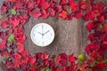 Border of fall color in red, green, yellow, and orange maple leaves on a rustic wood background, with round white analog clock Royalty Free Stock Photo