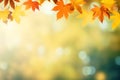 Border fall maple leaves on autumn blurred background in golden hour, Copy space Royalty Free Stock Photo