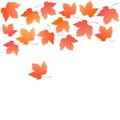 Border from falling maple leaves. Autumn decoration. Royalty Free Stock Photo