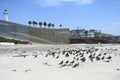 Border Field State Park Beach, CA, USA - July 30, 2023: The USA Mexico Border Wall near Friendship Park and Tijuana Beach Royalty Free Stock Photo