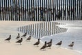 Border Field State Park Beach, CA, USA - July 30, 2023: The USA Mexico Border Wall near Friendship Park and Tijuana Beach Royalty Free Stock Photo