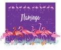Border with Flamingoes and tropical plants Royalty Free Stock Photo