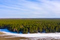 On the border of forest and field the snow melts. Aerial shot