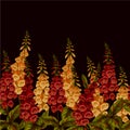 Border with foxglove flowers. Vector.