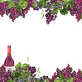 Border frame with bunches of grapes with green leaves, vine branches and a wine bottle. Hand drawn watercolor illustration Royalty Free Stock Photo