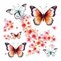 Border, frame. Butterfly abstract collage made from fresh summer flowers. Isolated Royalty Free Stock Photo