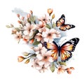 Border, frame. Butterfly abstract collage made from fresh summer flowers. Isolated Royalty Free Stock Photo