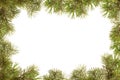 Border, frame from christmas tree branches Royalty Free Stock Photo