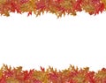 Border Frame of colored falling maple leafs with copy space isolated on white background Royalty Free Stock Photo