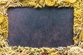 A border frame of dried pasta with copy space in the middle. Royalty Free Stock Photo