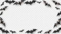 Halloween Bat Border Frame Transparent Background Royalty Free Stock Photo