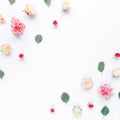 Border frame with pink rose flower buds and eucalyptus branches isolated on white background. Flat lay, top view. Floral Royalty Free Stock Photo