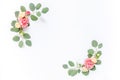 Border frame with pink rose flower buds and eucalyptus branches isolated on white background. Flat lay, top view. Floral Royalty Free Stock Photo