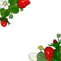 Border, frame with realistic berries and leaves of ripe strawberries