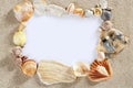 Border frame summer beach shell blank copy space