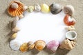 Border frame summer beach shell blank copy space Royalty Free Stock Photo