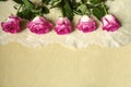 Border of gorgeous roses with petals painted white with pink on the edge, lying on top of embroidered fabric