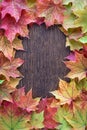 Border of green, yellow, orange, and red maple leaves on a dark wood background, as a fall nature background Royalty Free Stock Photo