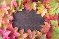 Border of green, yellow, orange, and red maple leaves on a dark wood background, as a fall nature background Royalty Free Stock Photo