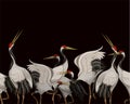 Border with Japanese white cranes. Oriental wallpaper.