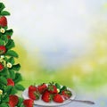 Border Of Leaves And Berries Of Strawberries, A Plate With Berries On A Vintage Background